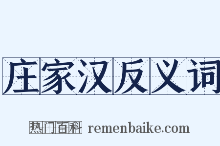 庄家汉反义词是什么意思的图片